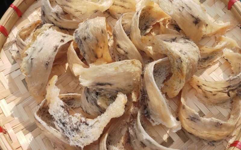Bảo quản yến thô đúng cách